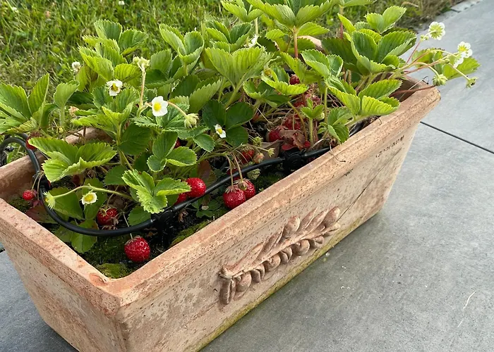 Villa Chez L'aviateur